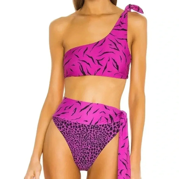 NEW! “Wild Riot” Zebra High Waisted Bikini Bottoms - Picture 7 of 14